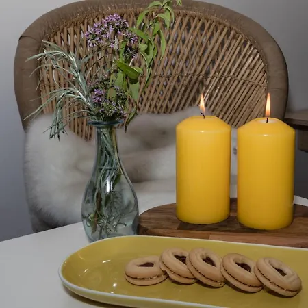 Macho * Ίνσμπρουκ