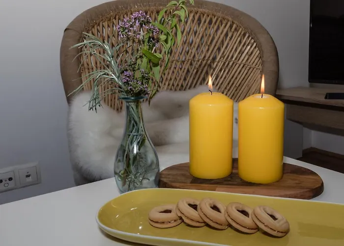 Macho * インスブルック